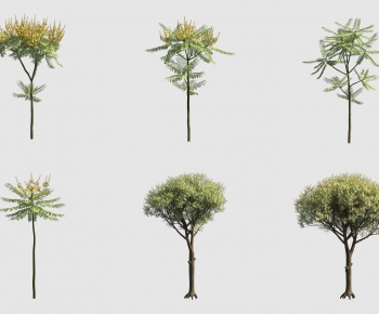 Modern Tree-ID:274604088