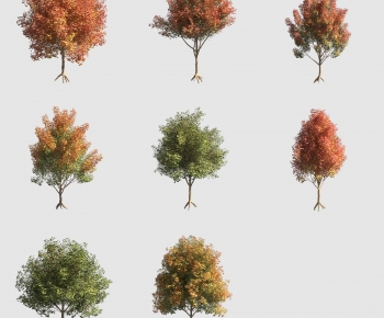 Modern Tree-ID:991779097