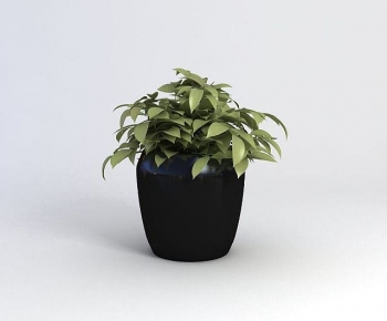 Modern Potted Green Plant-ID:602423912
