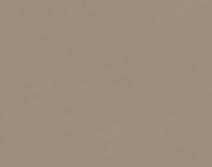 现代细纹皮革-ID:816292059