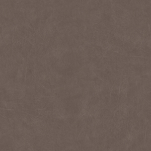 现代细纹皮革-ID:6247666
