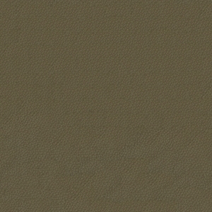 现代绿色细纹皮革-ID:6247670