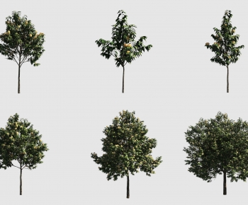 Modern Tree-ID:899007081