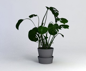 Modern Potted Green Plant-ID:563566927