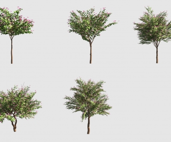 Modern Tree-ID:367429022