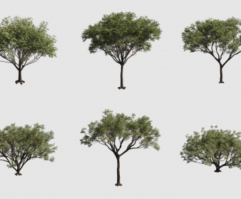 Modern Tree-ID:413789993