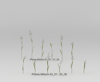 Modern The Grass-ID:924293046