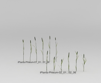 Modern The Grass-ID:116429318