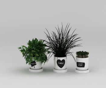 Modern Potted Green Plant-ID:354278095