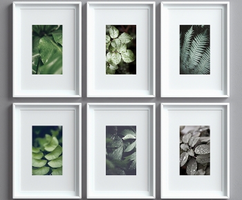 Modern Picture Frame-ID:581835039