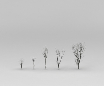 Modern Tree-ID:302922016