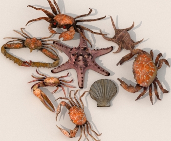 Modern Aquatic Product-ID:950591098