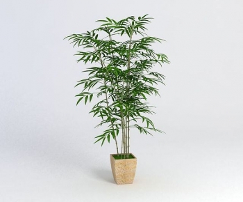 现代竹子落地绿植盆栽-ID:267138004