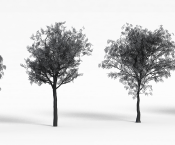 Modern Tree-ID:326837068