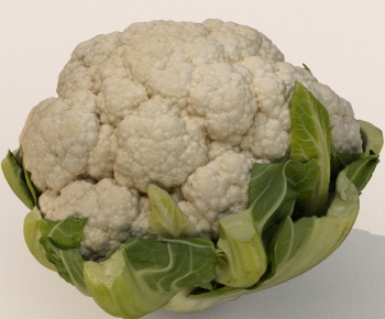 Modern Vegetables-ID:259491927