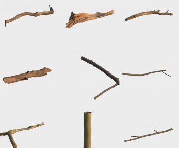 Modern Tree-ID:425340899