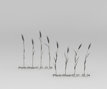 Modern The Grass-ID:213552001