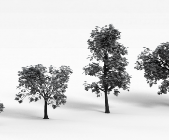 Modern Tree-ID:383610727