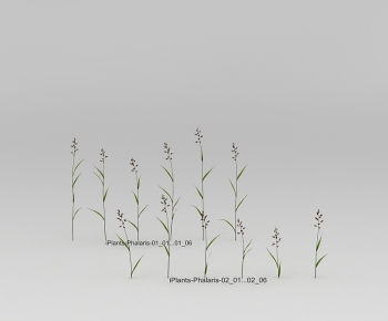 Modern The Grass-ID:211455112