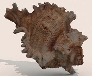 Modern Aquatic Product-ID:383896116