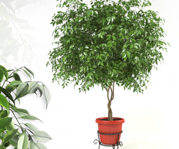 Modern Ground Green Plant Potted Plants-ID:362159018