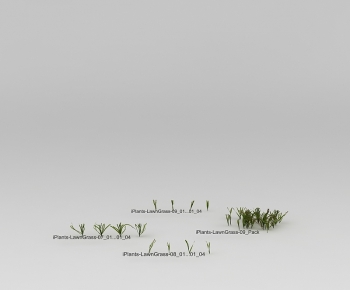 Modern The Grass-ID:106539015