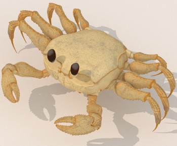 Modern Aquatic Animals-ID:470642095