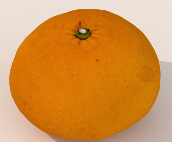 Modern Fruit-ID:883006102