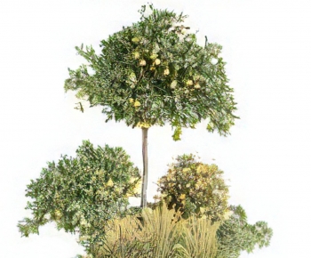 现代户外植物堆-ID:190438997