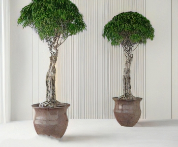 Modern Ground Green Plant Potted Plants-ID:181395053