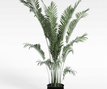Modern Ground Green Plant Potted Plants-ID:731266026