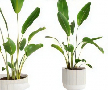 Modern Ground Green Plant Potted Plants-ID:449748049