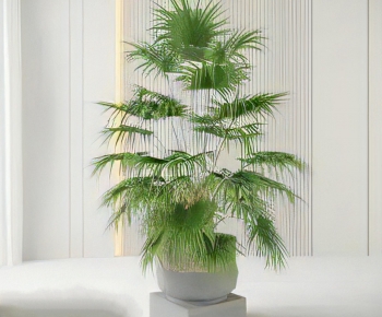 Modern Ground Green Plant Potted Plants-ID:217710976
