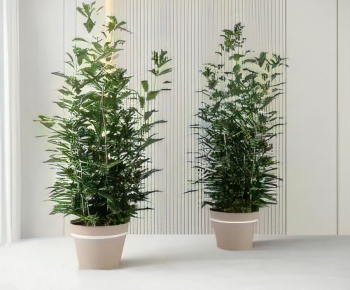 Modern Ground Green Plant Potted Plants-ID:909035926