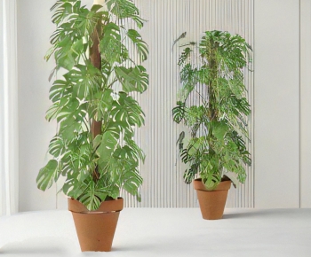 Modern Ground Green Plant Potted Plants-ID:436641939