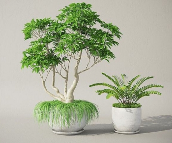 Modern Potted Green Plant-ID:731276993