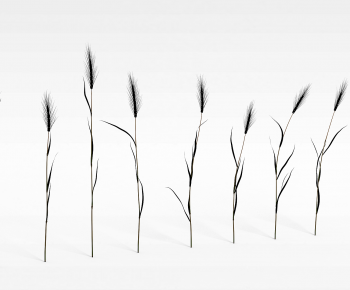 Modern The Grass-ID:804377086