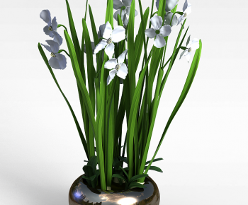 Modern Potted Green Plant-ID:231175904