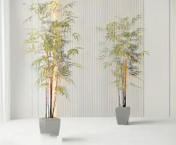 Modern Ground Green Plant Potted Plants-ID:910099036