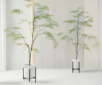 Modern Ground Green Plant Potted Plants-ID:802383905