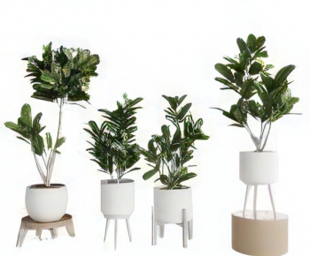 Modern Ground Green Plant Potted Plants-ID:542823081