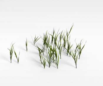 Modern The Grass-ID:504493009