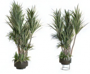 Modern Ground Green Plant Potted Plants-ID:973745119