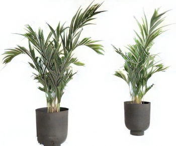Modern Ground Green Plant Potted Plants-ID:828376055