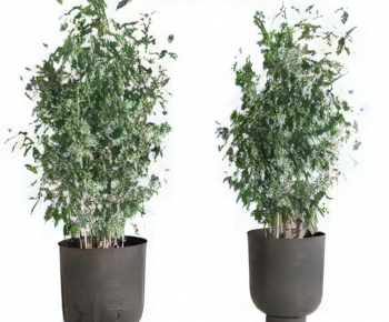Modern Ground Green Plant Potted Plants-ID:985127937