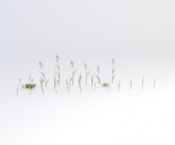 Modern The Grass-ID:571260532