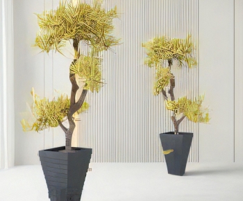 Modern Ground Green Plant Potted Plants-ID:408293964