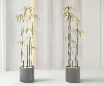 Modern Ground Green Plant Potted Plants-ID:761215936