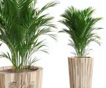 Modern Ground Green Plant Potted Plants-ID:465658901