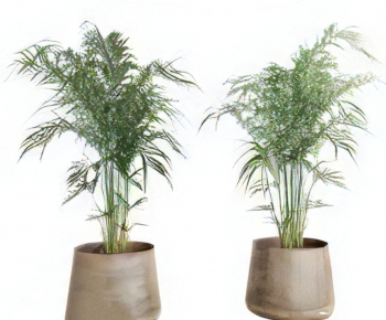 Modern Ground Green Plant Potted Plants-ID:573549036